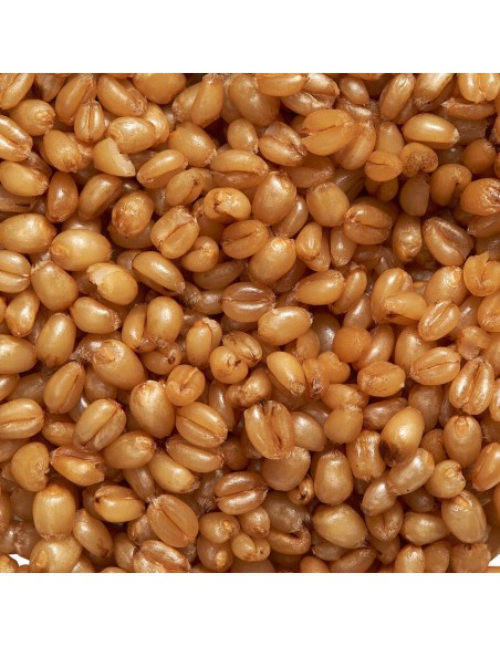 PARTICLES FOR FISHING TRIGO COCIDO 1KG