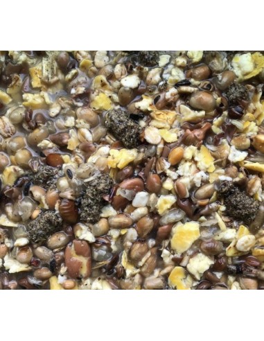 PARTICLES FOR FISHING SEMILLA DESHIDRATADA 1KG