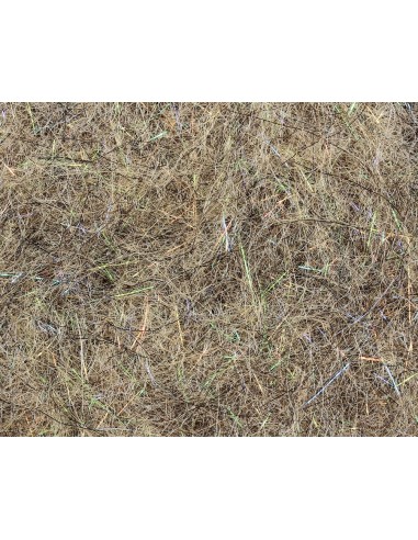 DUBBING FLASH NYMPH FLY THINGS