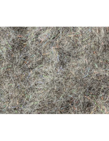 DUBBING FLASH NYMPH FLY THINGS