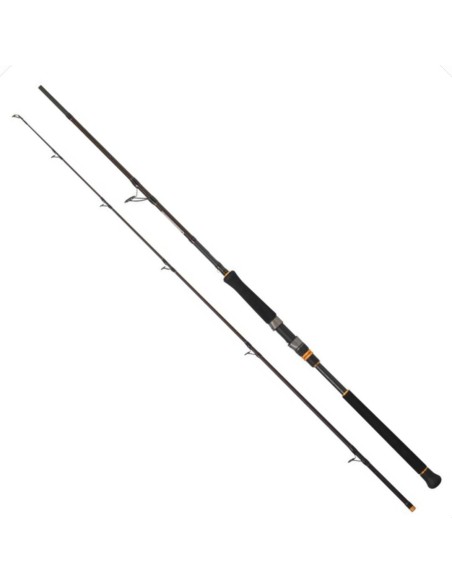 CAÑA CINNETIC REXTAIL CATFISH SPINN 2.20M / 200G