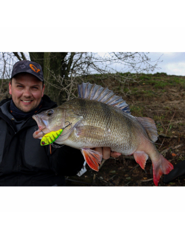 SAVAGE GEAR FAT VIBES RED CRAYFISH 6.6CM - 22G