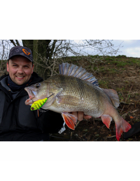 SAVAGE GEAR FAT VIBES RED CRAYFISH 6.6CM - 22G