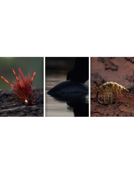 ANZUELO AHREX CURVED GAMMARUS NS172