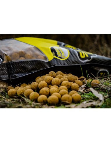 PRO ELITE BAITS BOILIES CLASSIC PIÑA & SCOPEX...