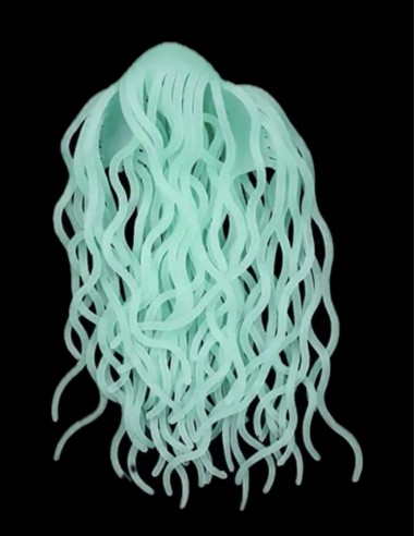 SQUIRMY WORMY ARANA FISHING