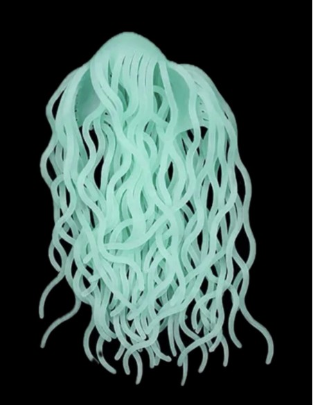 SQUIRMY WORMY ARANA FISHING