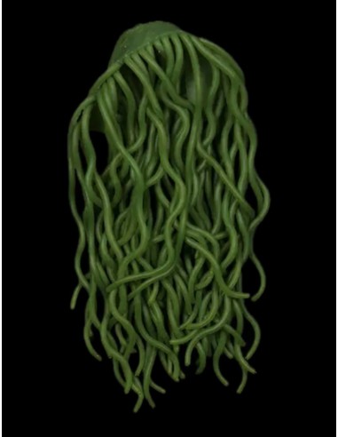 SQUIRMY WORMY ARANA FISHING