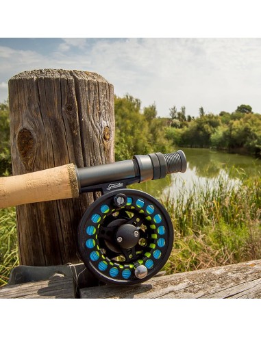 KIT MOSCA FLY BRAVO GRAUVELL