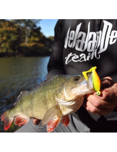 SANDRA DELALANDE 12CM