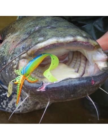 SANDRA DELALANDE 18CM