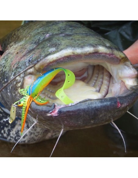 SANDRA DELALANDE 18CM