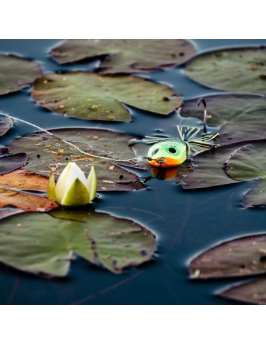 RAPALA BX SKITTER FROG