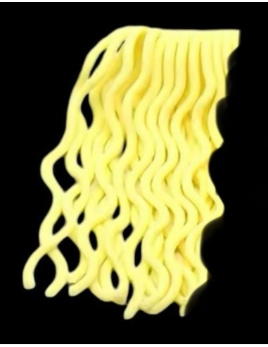 SQUIRMY WORMY ARANA FISHING