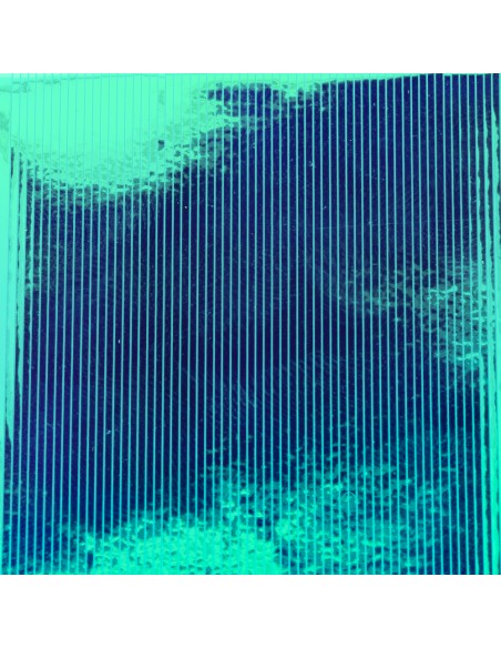 MUTATION FILM BAETIS