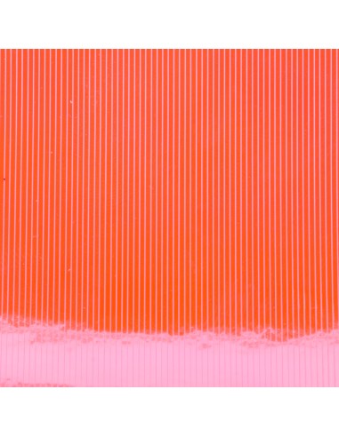 MUTATION FILM BAETIS