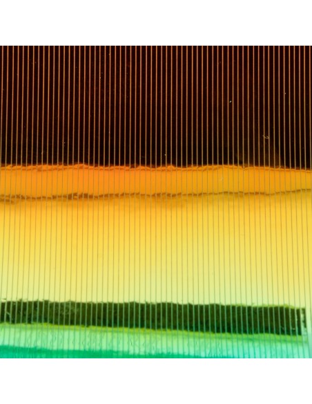 MUTATION FILM BAETIS