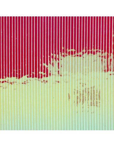 MUTATION FILM BAETIS