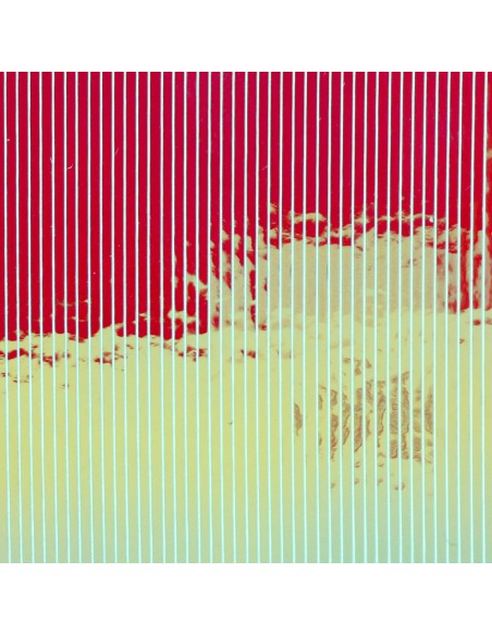 MUTATION FILM BAETIS