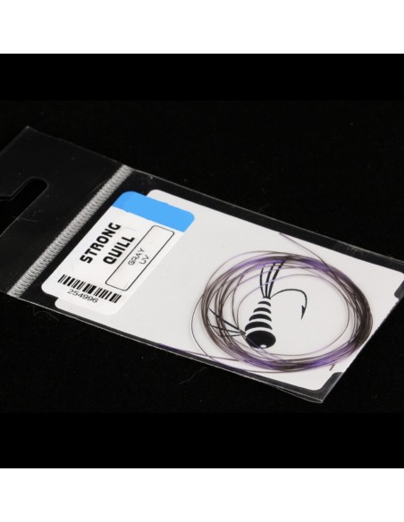 STRONG QUILL FLY THINGS