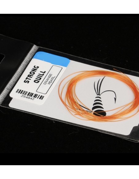 STRONG QUILL FLY THINGS