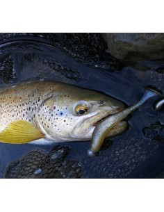 DAIWA TOURNAMENT D'FIN 3" - 7,6CM 2