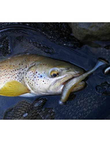 DAIWA TOURNAMENT D'FIN 3" - 7,6CM