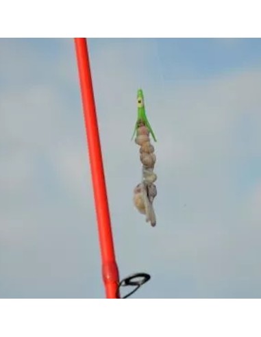 ELÁSTICO D'ELASTIC "BAIT ELASTIC"