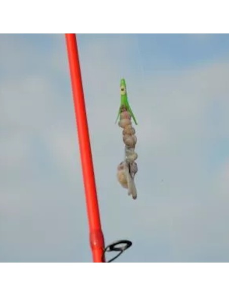 ELÁSTICO D'ELASTIC "BAIT ELASTIC"