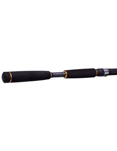CAÑA DAIWA LEGALIS SEA BASS 2.40M 10-35G