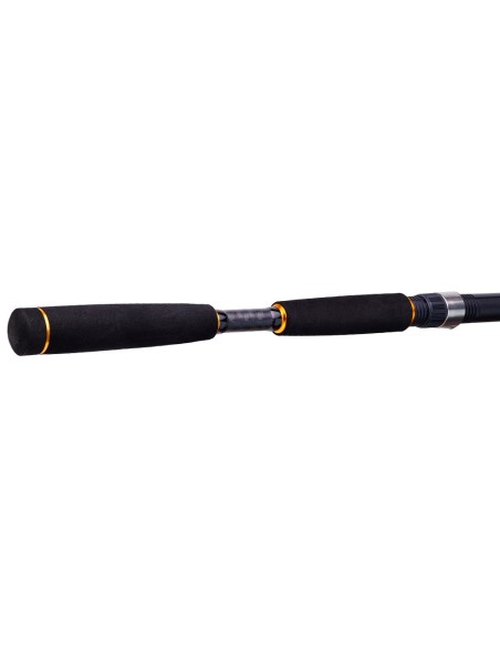 CAÑA DAIWA LEGALIS SEA BASS 2.40M 10-35G
