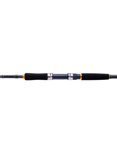 CAÑA DAIWA LEGALIS SEA BASS 2.40M 10-35G