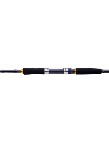 CAÑA DAIWA LEGALIS SEA BASS 2.40M 10-35G