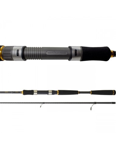 CAÑA DAIWA LEGALIS SEA BASS 2.40M 10-35G