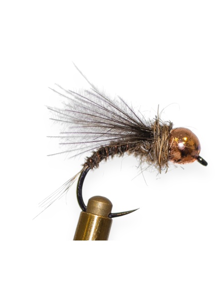 NINFA FAISANA CDC CURVO AF10