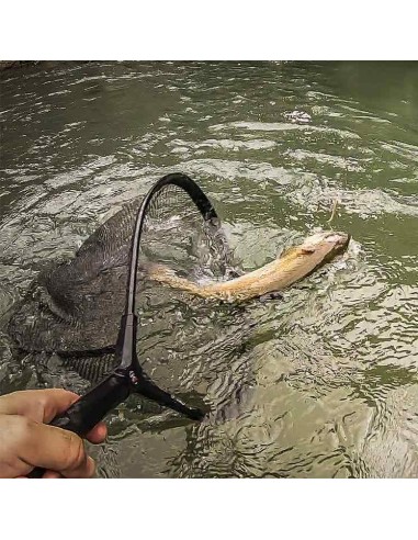 SACADERA GRAUVELL ARVE 6238