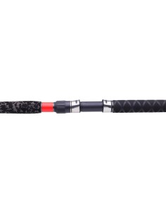 CAÑA DAIWA MEGAFORCE BIG FISH TELE 2,90M 100-300G 2