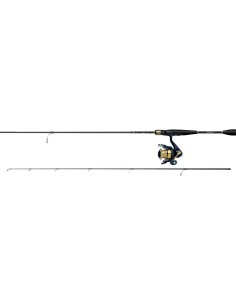 COMBO DAIWA RS 2,40m 14-56g + 4000C 2