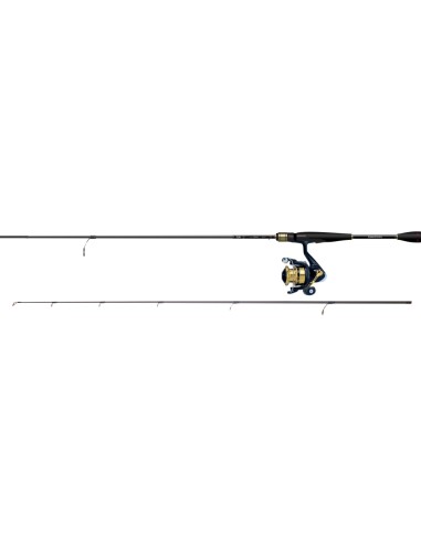 COMBO DAIWA RS 2,40m 14-56g + 4000C