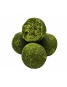 GREEN MULBERRY
