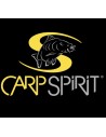 CARP SPIRIT