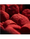 SPEED PELLETS