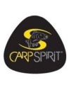 Carp Spirit